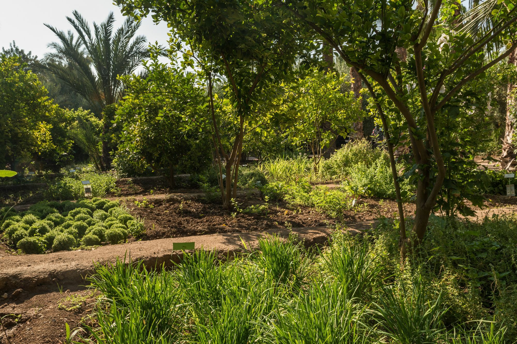 Jnane Tamsna Hotel Marrakesh Bagian luar foto